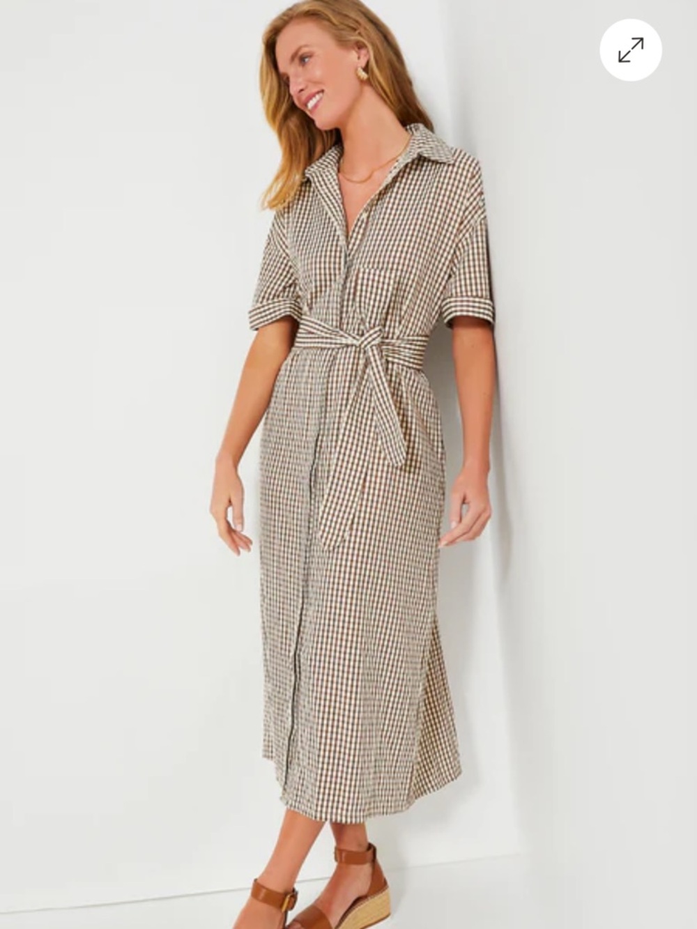 Pomander Place Brown and Cream Gingham Shirt Dress